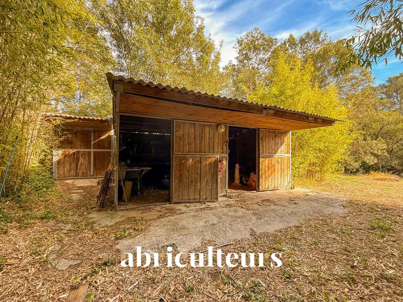 Mas - 300 m² - 8 pièces