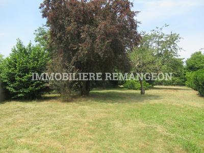 Terrain constructible - 1 304 m²