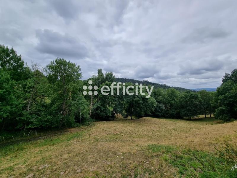 Maison - 200 m² - 4 pièces