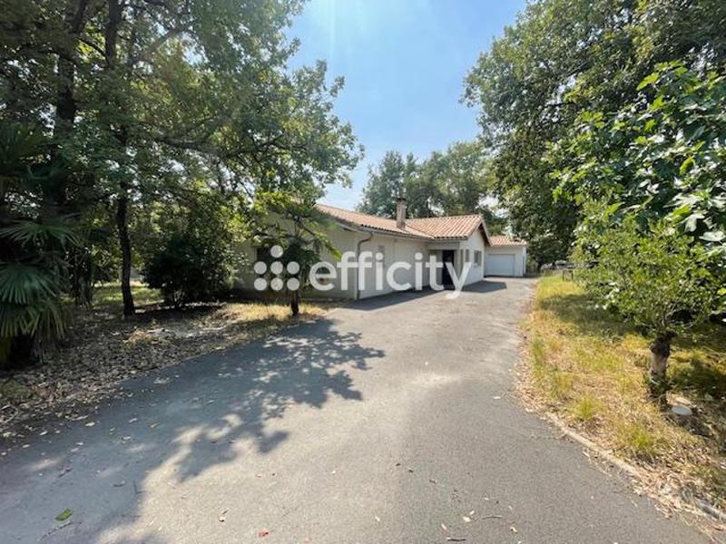 Maison - 207 m² - 7 pièces