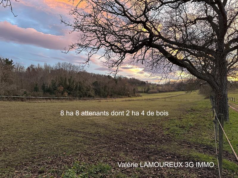 Villa - 158 m² - 6 pièces