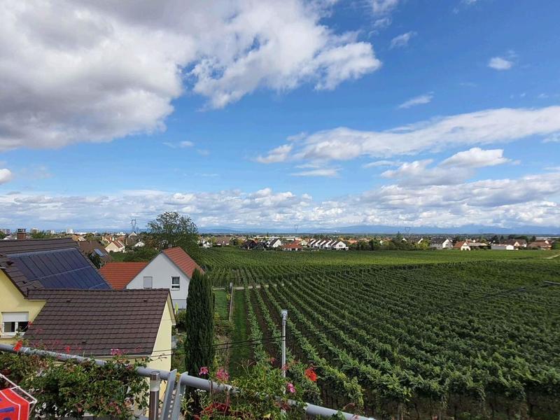 Appartement - 81 m² - 5 pièces