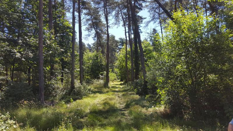 Propriété - 835 m² - 32 pièces