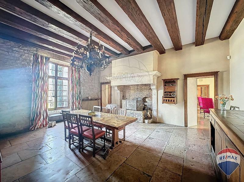 Demeure - 530 m² - 11 pièces