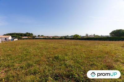 Terrain - 3 920 m²