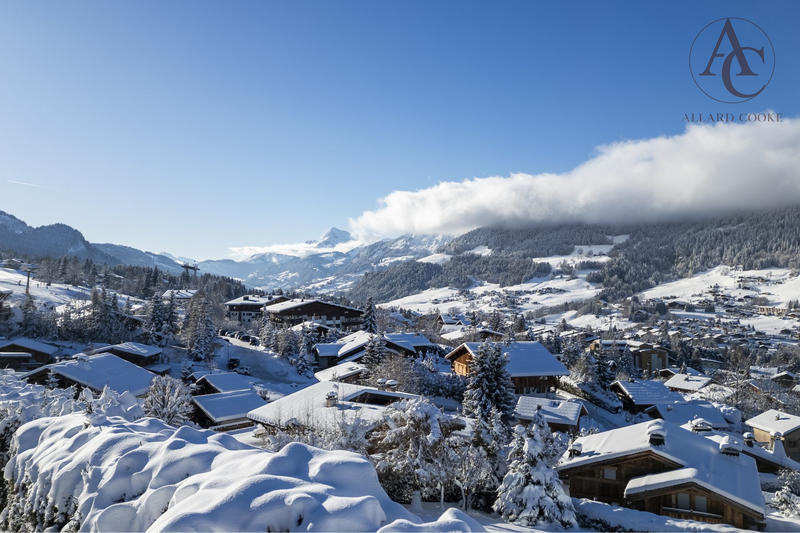 Châlet - 316 m² - 10 pièces