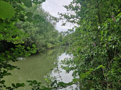 Terrain de loisirs - 5 495 m²