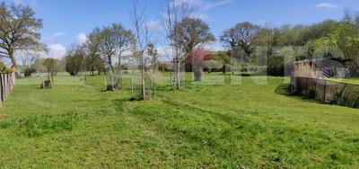 Villa - 243 m² - 9 pièces