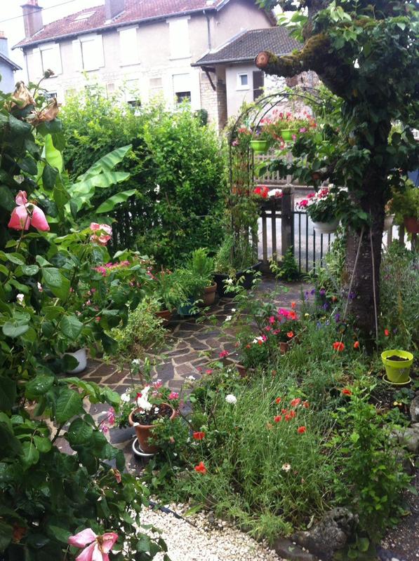 Viager - Maison - 53 m² - 4 pièces