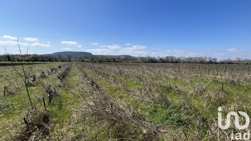 Terrain agricole - 2 455 m²