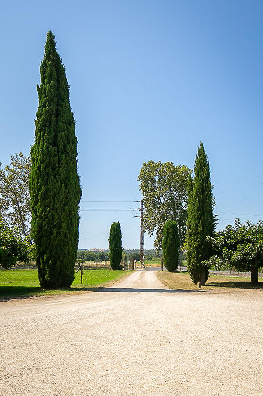 Local commercial - 380 m² - 6 pièces