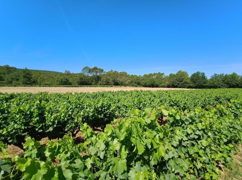 Maison - 124 m² - 5 pièces