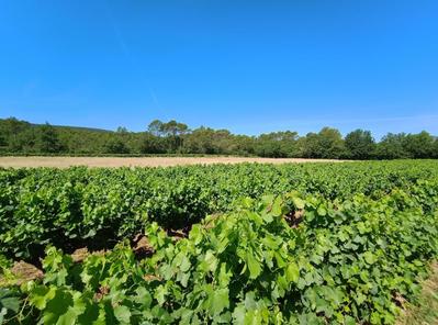 Maison - 124 m² - 5 pièces