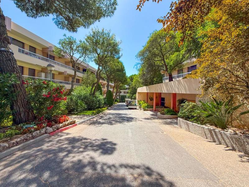 Studio - 31 m² - 1 pièce