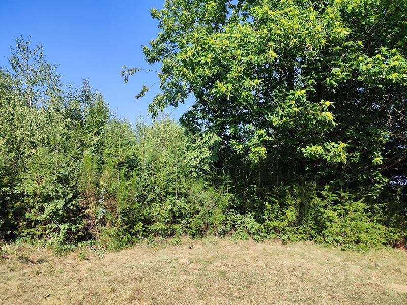 Maison - 97 m² - 4 pièces