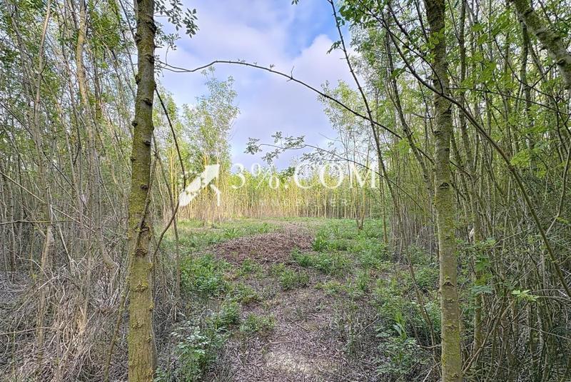 Terrain de loisirs - 4 558 m²