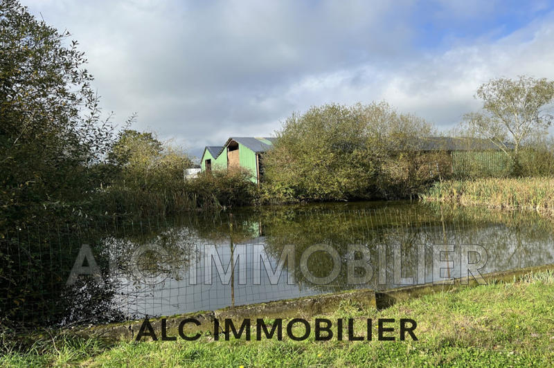 Ferme - 145 m² - 5 pièces