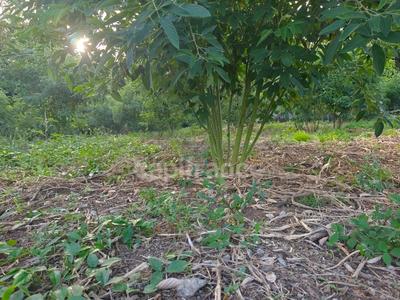 Terrain constructible - 1 043 m²