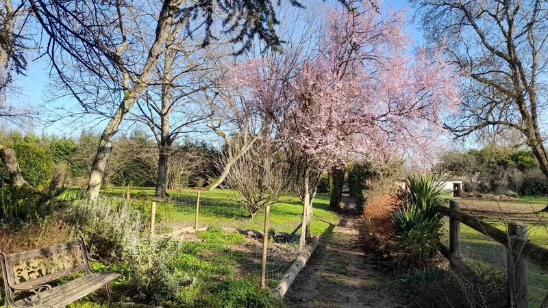 Grange - 200 m² - 4 pièces