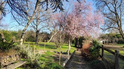 Grange - 200 m² - 4 pièces