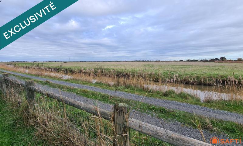 Maison - 195 m² - 6 pièces