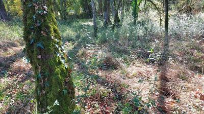 Terrain constructible - 1 255 m²