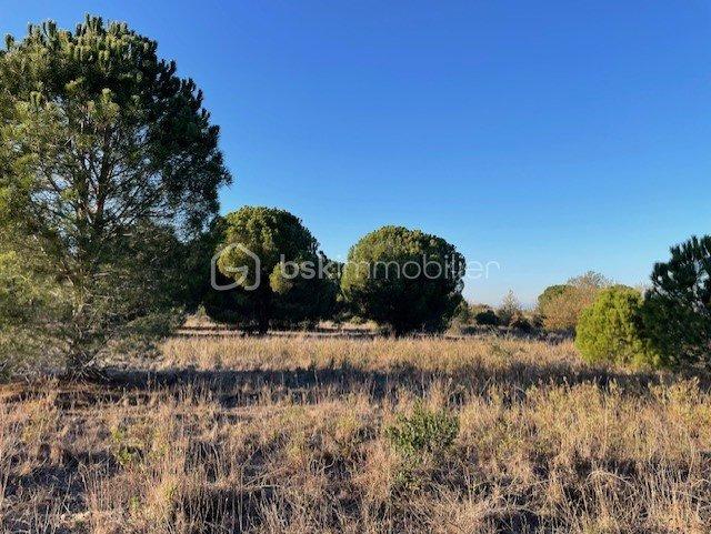 Terrain de loisirs - 2 279 m²