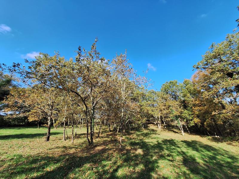 Maison - 425 m² - 11 pièces