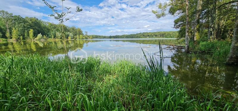 Terrain - 240 000 m²