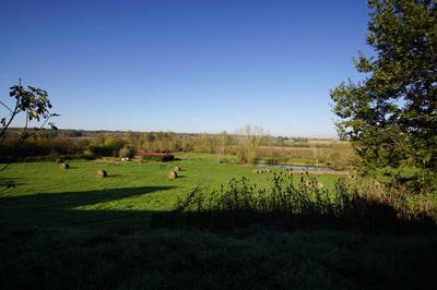 Viager - Ferme - 230 m² - 10 pièces