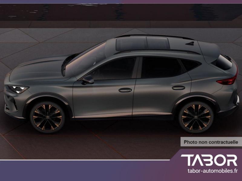 Cupra Formentor 2.0 Tdi 150 Dsg Led Pdc DigCo