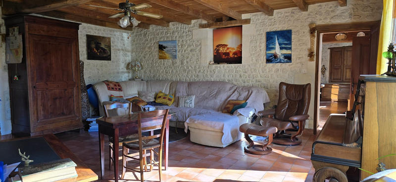 Viager - Maison ancienne - 248 m² - 11 pièces