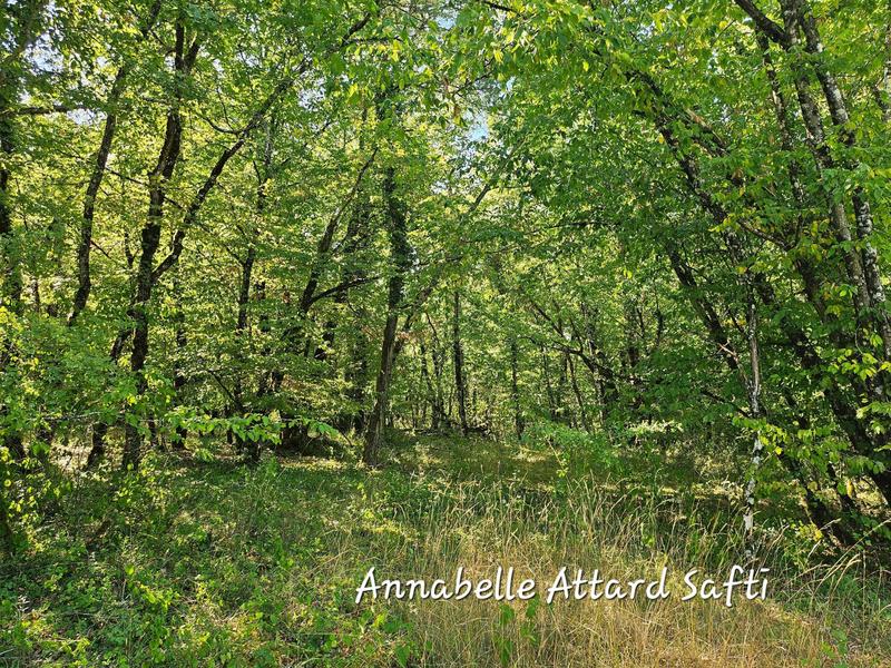 Terrain - 26 840 m²