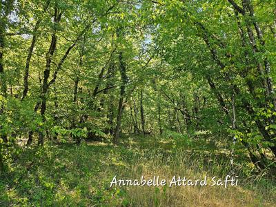 Terrain - 26 840 m²