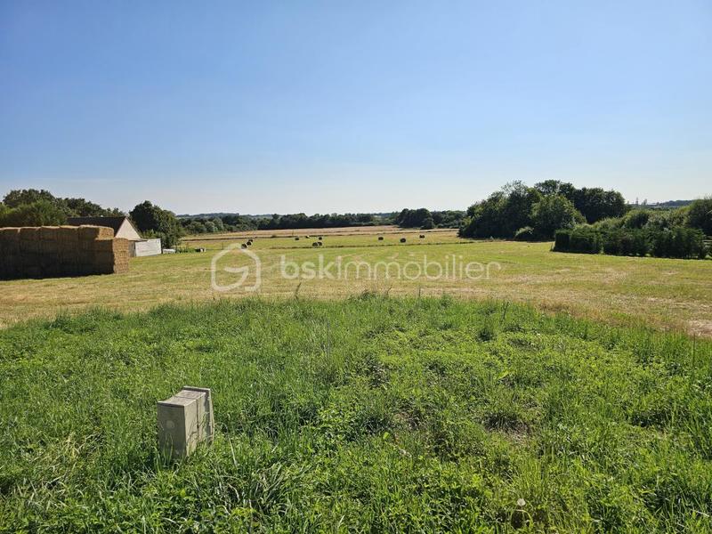 Terrain - 1 801 m²
