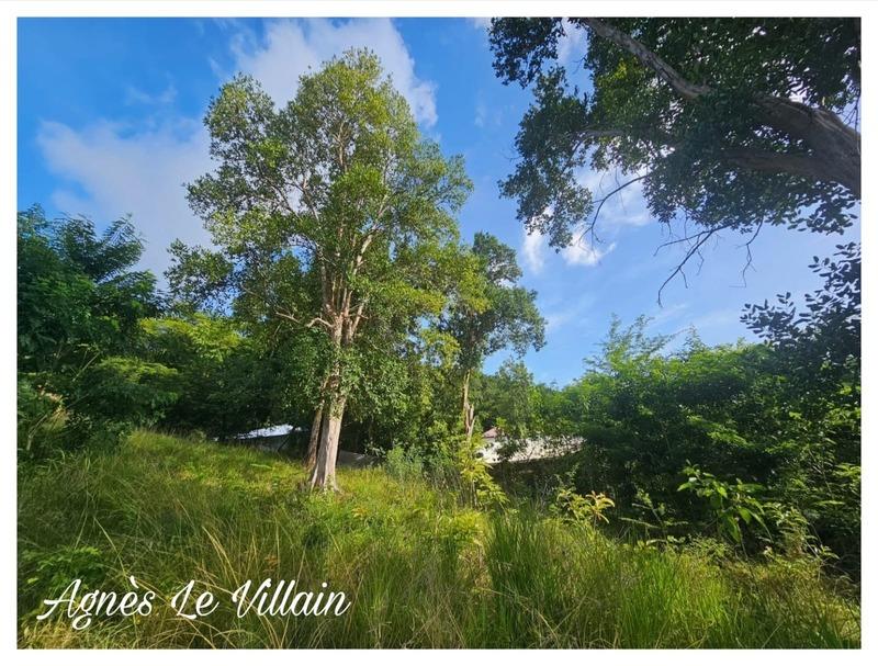 Terrain constructible - 2 983 m²