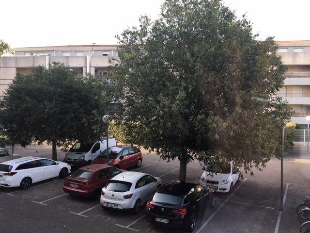 Studio - 18 m² - 1 pièce