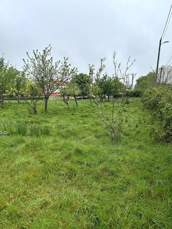Terrain - 1 623 m²