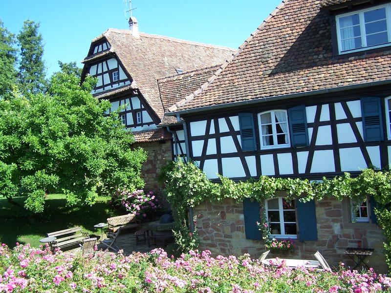 Marche gourmande du Gap Berstett