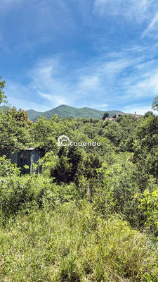 Terrain - 1 831 m²