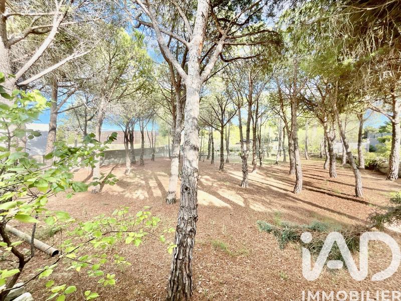 Maison - 524 m² - 12 pièces