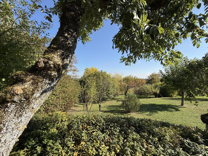 Maison en pierre - 279 m² - 6 pièces