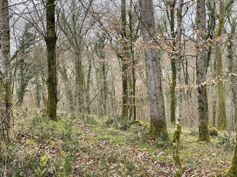 Terrain - 82 016 m²