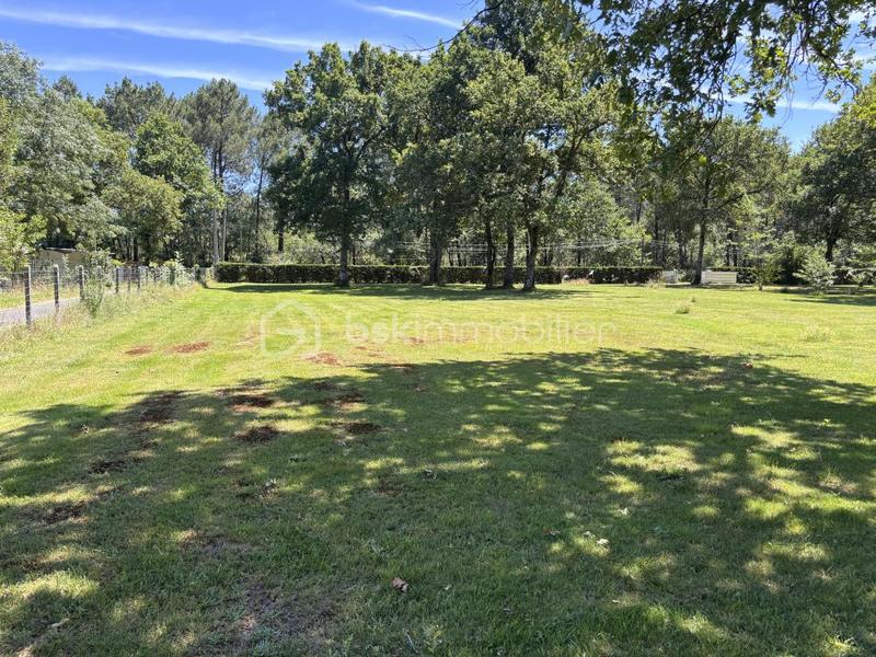 Terrain constructible - 1 000 m²