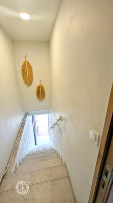 Appartement - 38 m² - 1 pièce