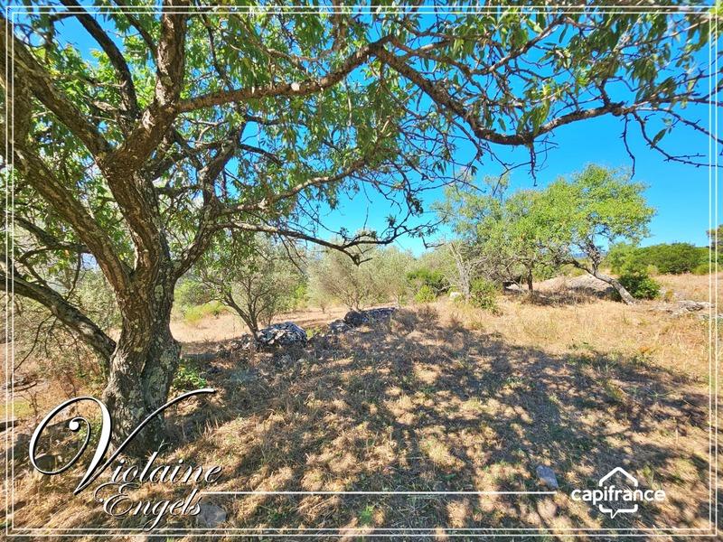 Corps de ferme - 592 m² - 14 pièces