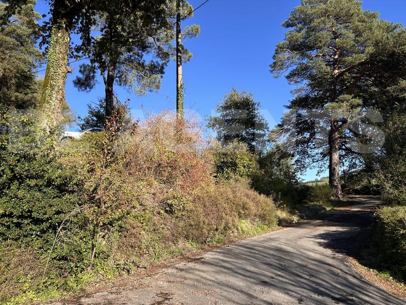 Maison traditionnelle - 130 m² - 7 pièces