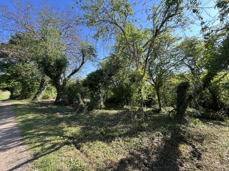 Terrain - 2 700 m²