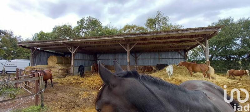 Maison - 105 m² - 4 pièces