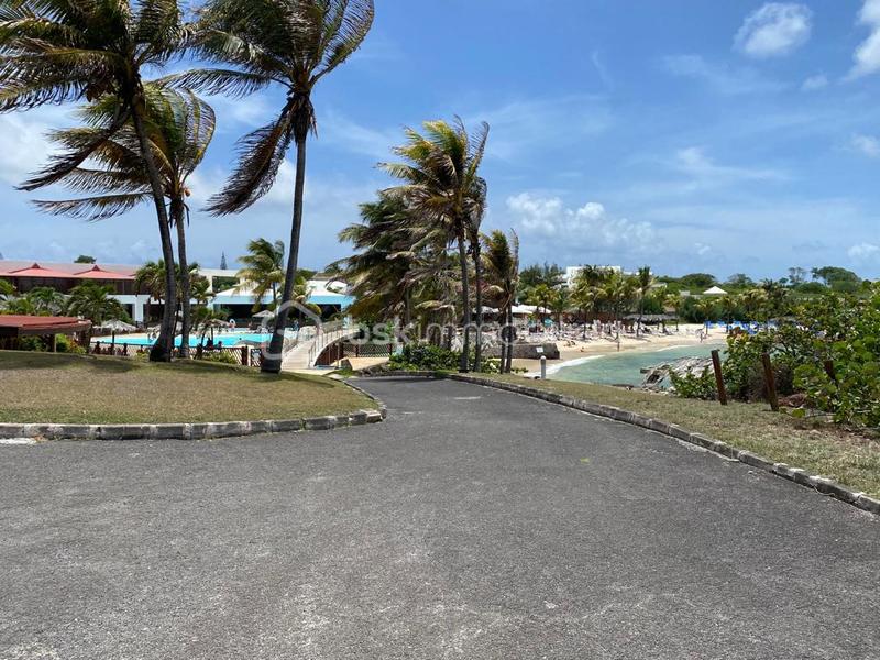 Studio - 20 m² - 1 pièce